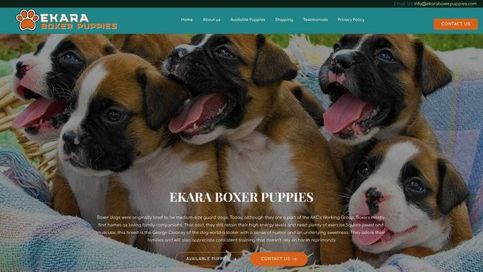 Ekaraboxerpuppies.com - Boxer Puppy Scam Review