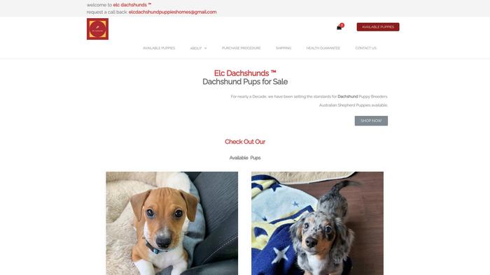 Elcdachshundpupshome.com - Dachshund Puppy Scam Review