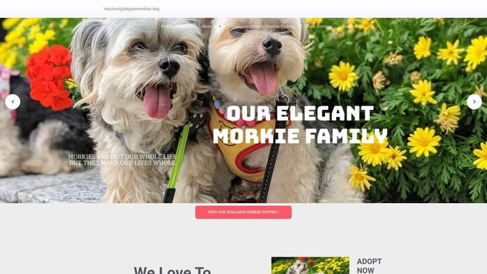 Elegantmorkies.dog - Yorkshire Terrier Puppy Scam Review