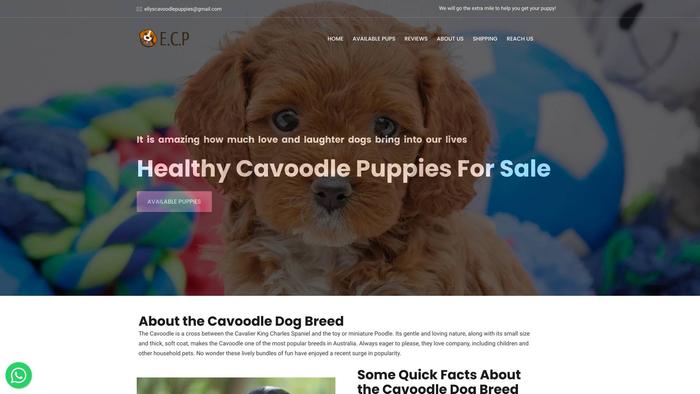 Ellyscavoodlepuppies.com - Cavapoo Puppy Scam Review