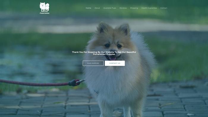 Emersonpomeranian.com - Pomeranian Puppy Scam Review