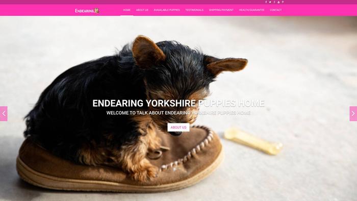 Endearingyorkshire.com - Yorkshire Terrier Puppy Scam Review