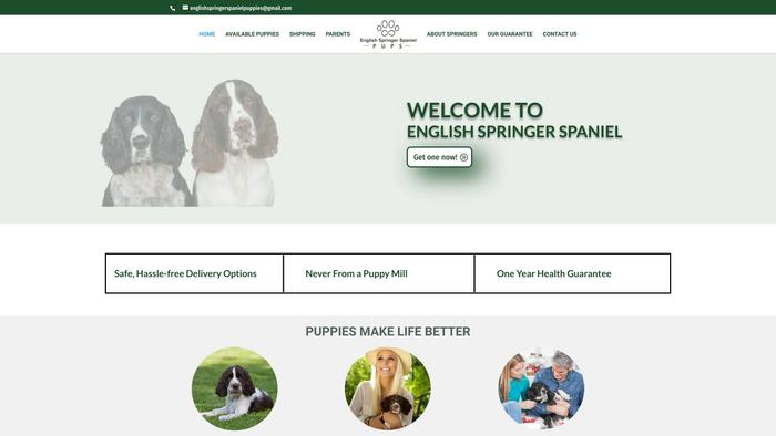 Englishspringerspanielpuppiesonline.com - Spaniel Puppy Scam Review