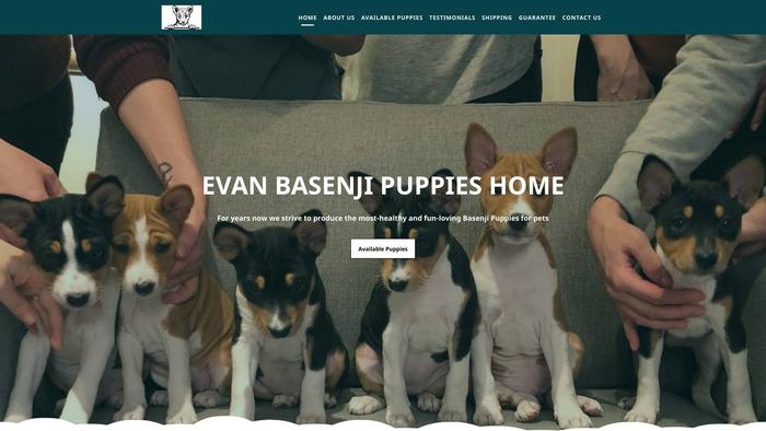 Evanbasenjipuppieshome.com - Basenji Puppy Scam Review