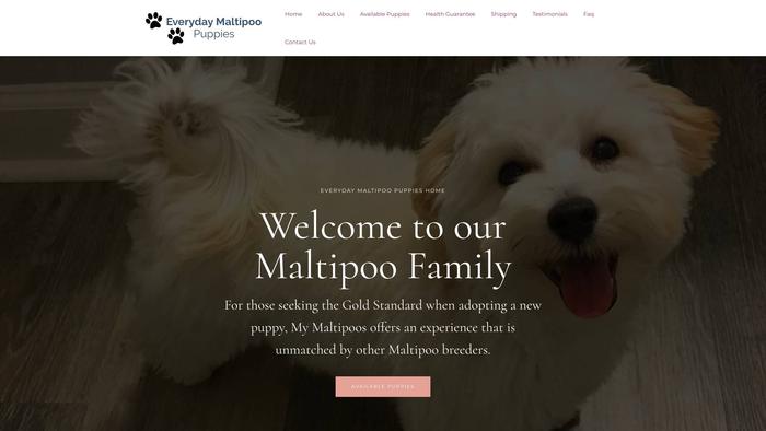 Everydaymaltipoopuppies.com - Maltipoo Puppy Scam Review