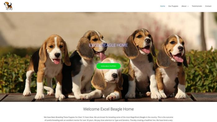 Excelbeaglehome.com - Beagle Puppy Scam Review