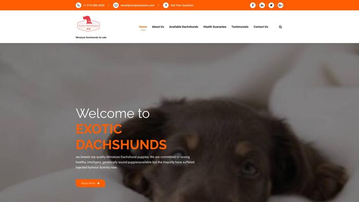 Exoticdachshund.com - Dachshund Puppy Scam Review