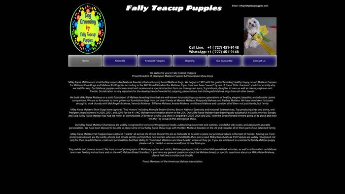 Fallyteacuppuppies.com - Yorkshire Terrier Puppy Scam Review