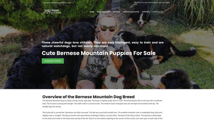 Familybernesepuppieshome.com - Bernese Mountain Dog Puppy Scam Review