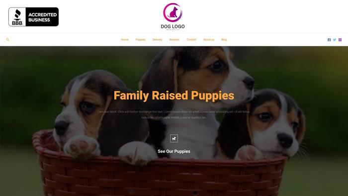 Familyraisedpuppy.com - Dachshund Puppy Scam Review