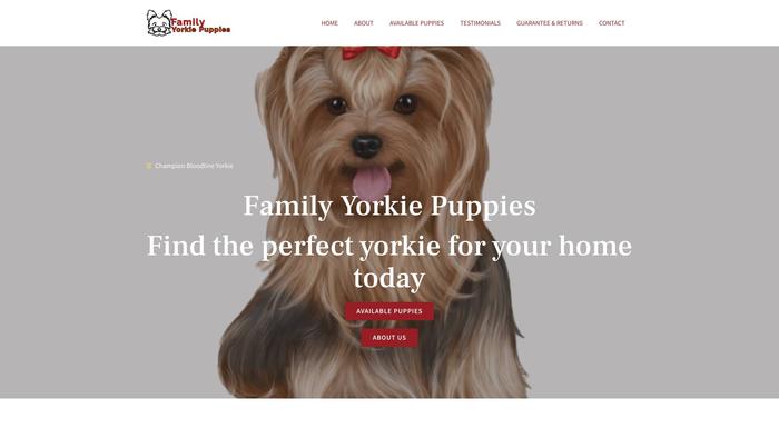 Familyyorkiepuppies.com - Yorkshire Terrier Puppy Scam Review