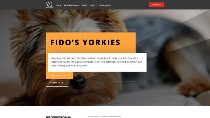 Fidosyorkies.com - Yorkshire Terrier Puppy Scam Review