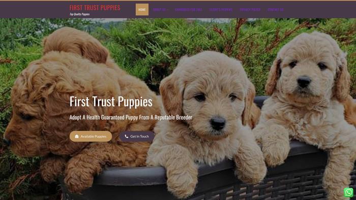 Firsttrustpuppies.com - Cavapoo Puppy Scam Review