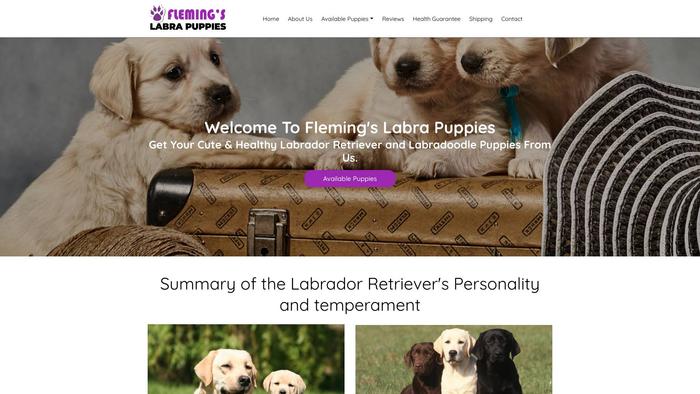 Flemingslabrapuppies.com - Labrador Puppy Scam Review