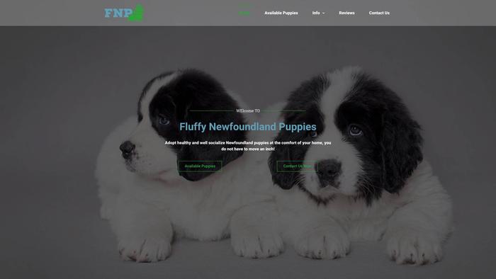 Fluffynewfoundlandpuppies.com - Saint Bernard Puppy Scam Review