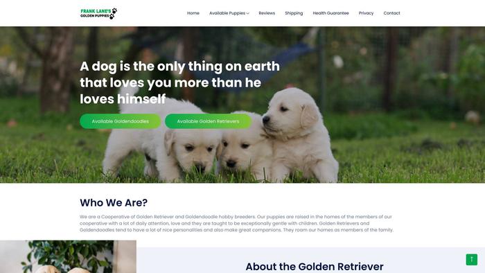 Franklanesgoldenpuppies.com - Golden Doodle Puppy Scam Review