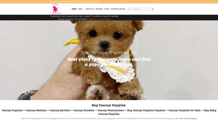 Frankpuppieshome.com - Pomeranian Puppy Scam Review