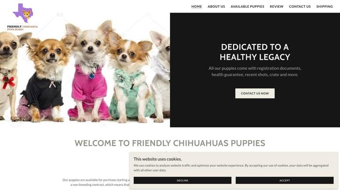 Friendlychihuahuaspupshome.com - Chihuahua Puppy Scam Review