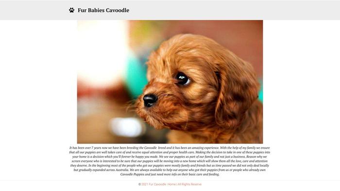 Furbabiescavoodle.com - Cavapoo Puppy Scam Review