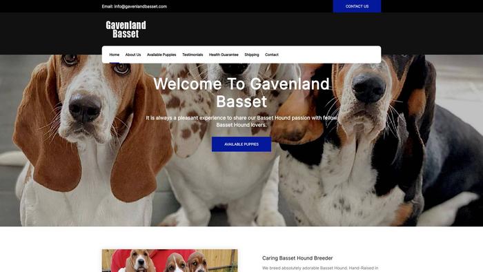 Gavenlandbasset.com - Bassethound Puppy Scam Review