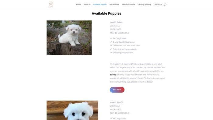 Georgemaltesepuppies.com - Maltese Puppy Scam Review