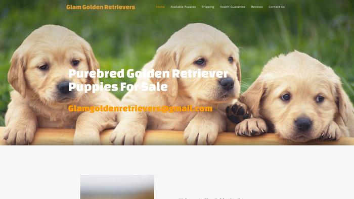 Glamgoldenretrievers.com - Golden Retriever Puppy Scam Review