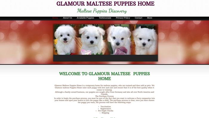 Glamourmaltesepuppies.com - Maltese Puppy Scam Review