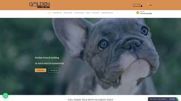 Goldenfrenchbulldog.com - French Bulldog Puppy Scam Review