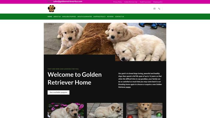 Goldenretriever4us.com - Golden Retriever Puppy Scam Review