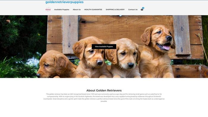 Goldenretrieverpuppiesbreeder.com - Golden Retriever Puppy Scam Review