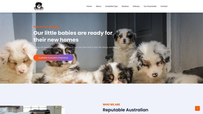 Gooaussies.com - Australian Shepherd Puppy Scam Review