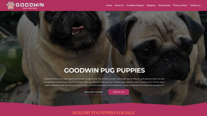 Goodwinpugpuppies.com - Pug Puppy Scam Review