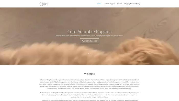 Gorgeouscuddlefamily.com - Maltipoo Puppy Scam Review