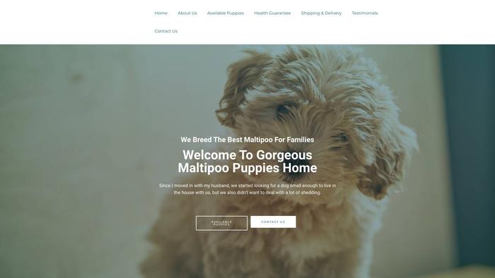 Gorgeousmaltipoopuppies.com - Maltipoo Puppy Scam Review