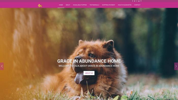 Graceinabundancehome.com - Chowchow Puppy Scam Review