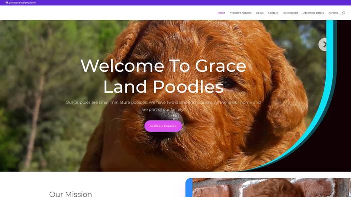 Gracelandpoodles.com - Poodle Puppy Scam Review