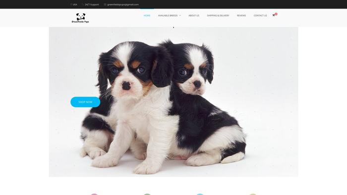 Greenfieldspups.com - Cavalier King Charles Spaniel Puppy Scam Review