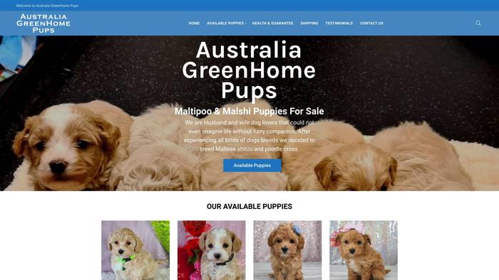 Greenhomepups.com - Maltipoo Puppy Scam Review