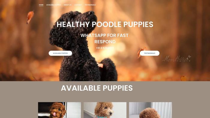 Greenlight-poodles.com - Poodle Puppy Scam Review