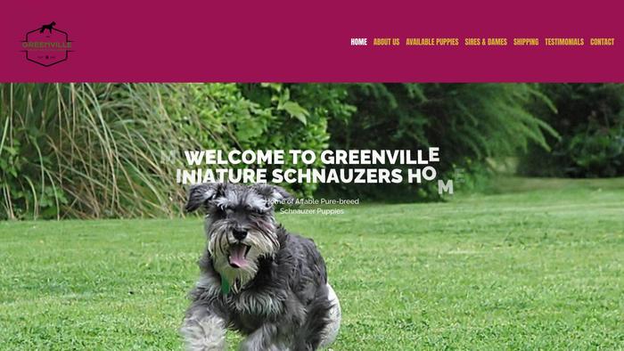 Greenvilleminischnauzers.com - Schnauzer Puppy Scam Review