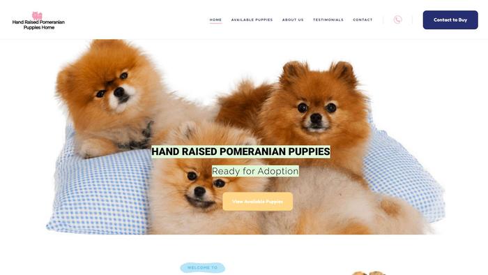 Handraisedpomeranianpuppieshome.com - Pomeranian Puppy Scam Review