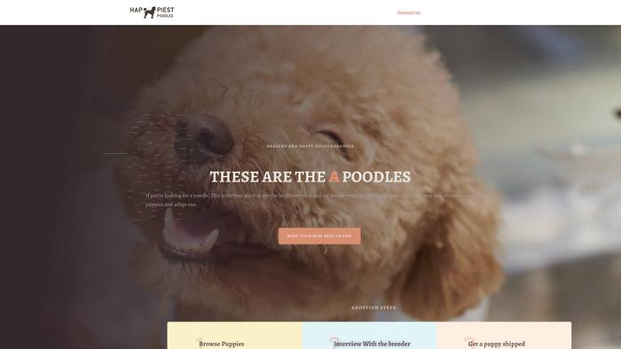 Happiestpoodles.com - Poodle Puppy Scam Review