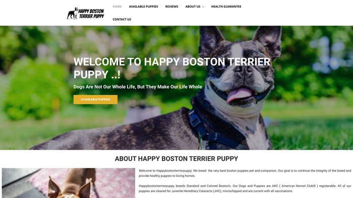 Happybostonterrierpuppy.com - Terrier Puppy Scam Review