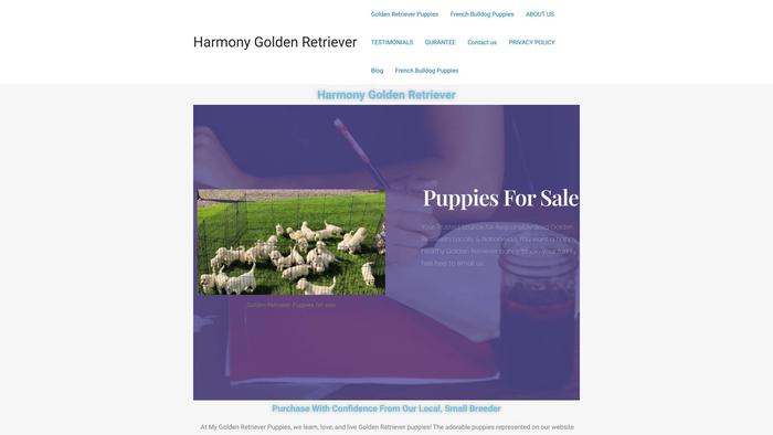 Harmonygoldenretriever.com - Golden Retriever Puppy Scam Review