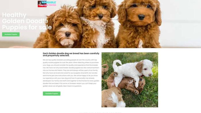 Hartgoldendoodlepuppiesstore.store - Golden Doodle Puppy Scam Review