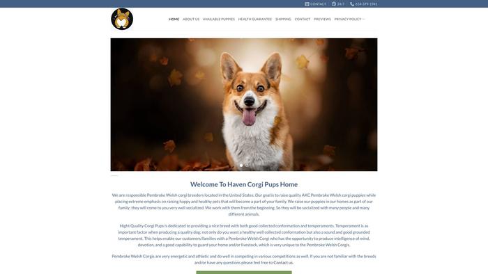 Havencorgipuppies.com - Corgi Puppy Scam Review