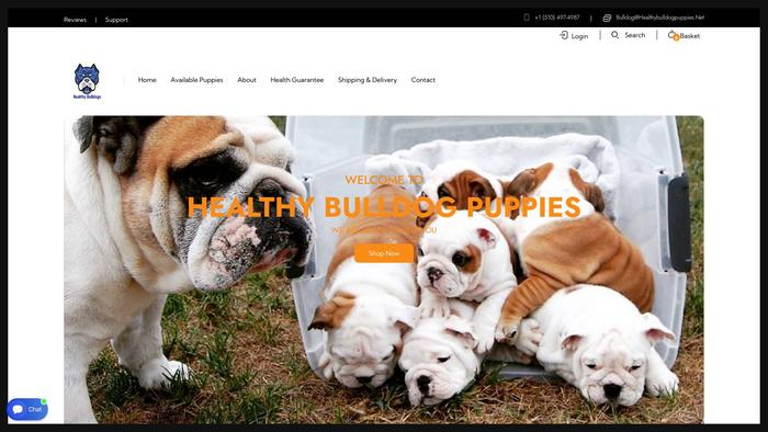 Healthybulldogpuppies.net - Bulldog Puppy Scam Review