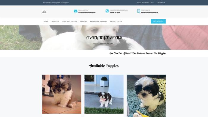 Heavenlyshihtzupups.com - Shihtzu Puppy Scam Review