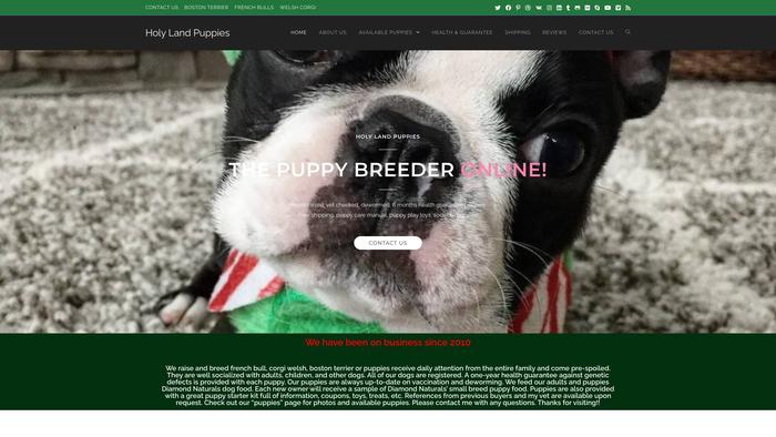 Holylandpuppies.com - Boston Terrier Puppy Scam Review