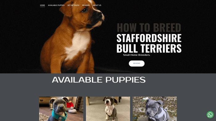 Home-of-staffordshire-terriers.com - Terrier Puppy Scam Review